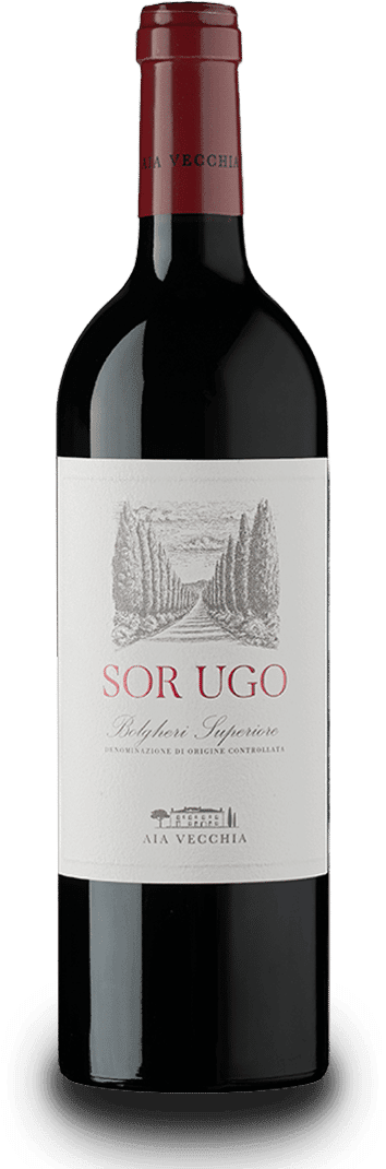 Sor Ugo Bolgheri Rosso Superiore DOC Aia Vecchia - 1,5 L / 2022