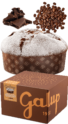 Panettone Gran Galup Caffè e Cioccolato mit Kaffee-Cremefüllung Galup 900g