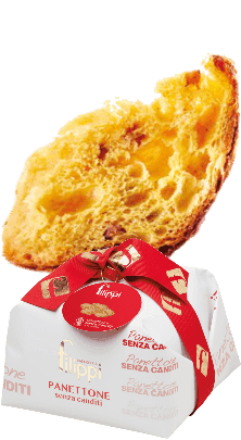 Filippi Panettone Damerino Senza Canditi
