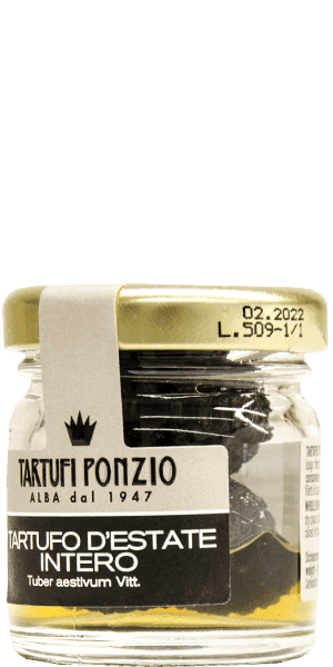 Tartufi Ponzio Ganzer Sommertrüffel Alba