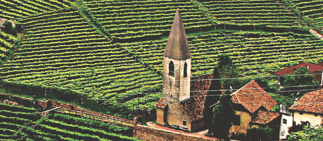 Banner Kandlerhof