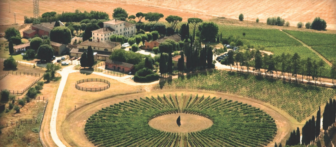 Banner Tenuta Avignonesi