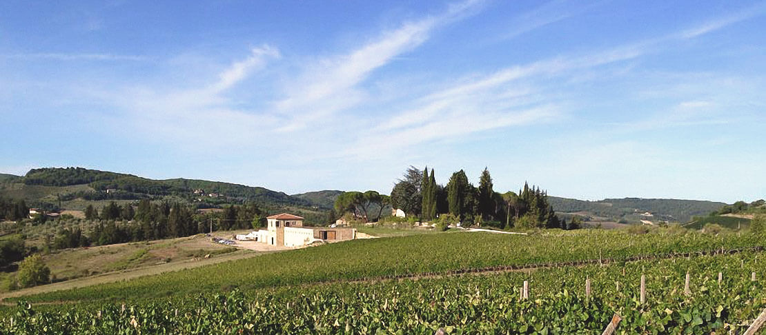 Banner Fattoria La Massa