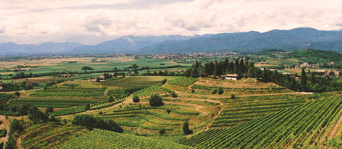 Banner Tenuta La Tunella
