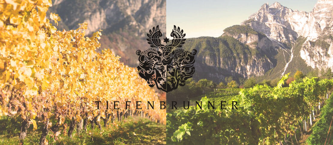 Banner Weingut Tiefenbrunner