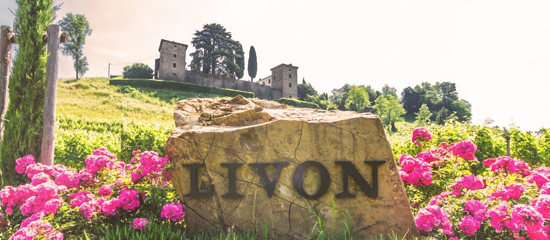 Banner Livon