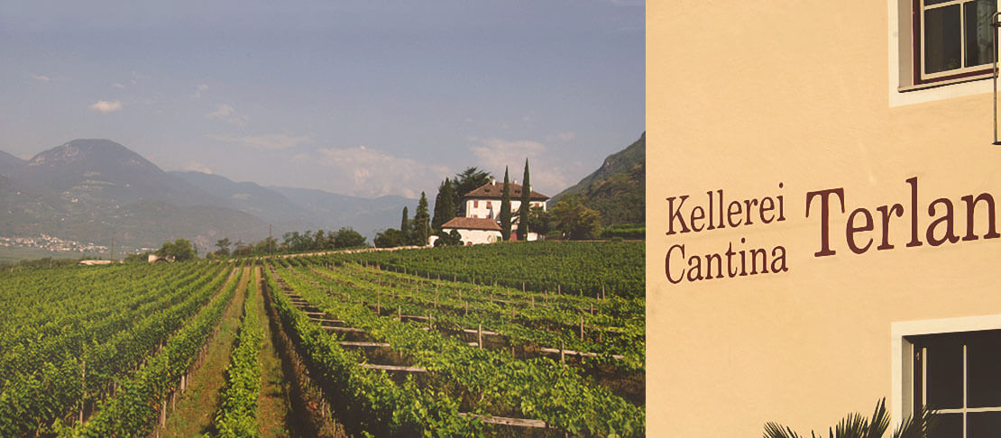 Banner Cantina Terlano