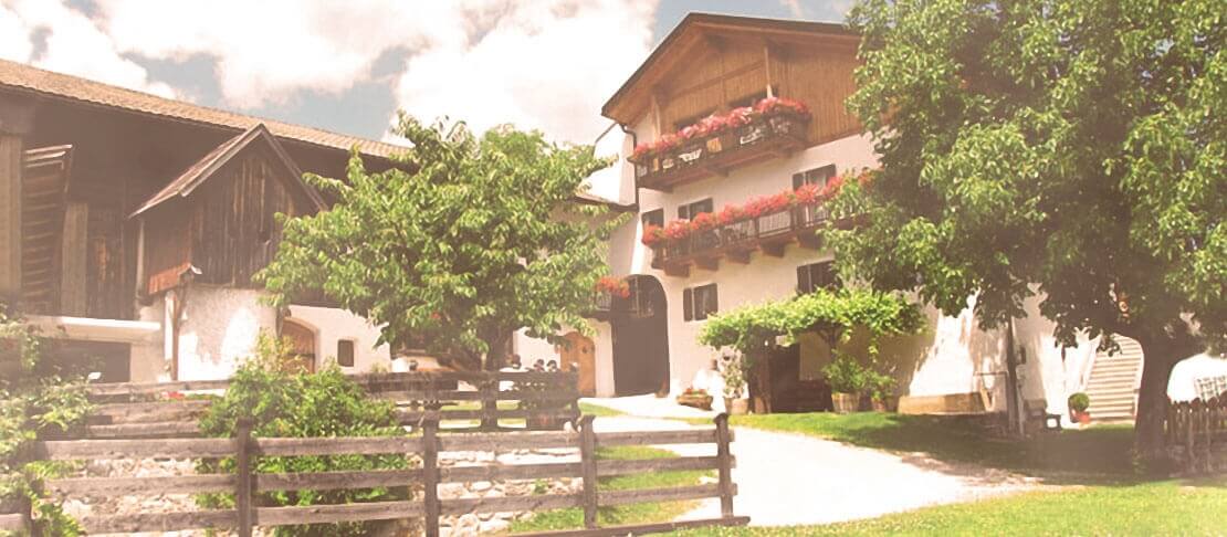 Banner Weingut Strasserhof