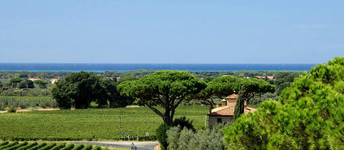 Banner Fabio Motta