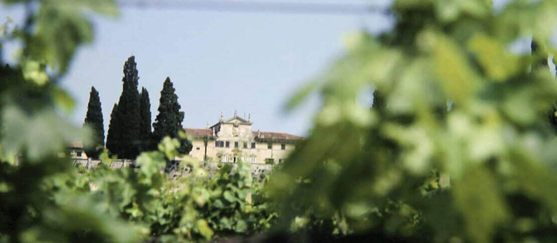 Banner Cantina di Custoza