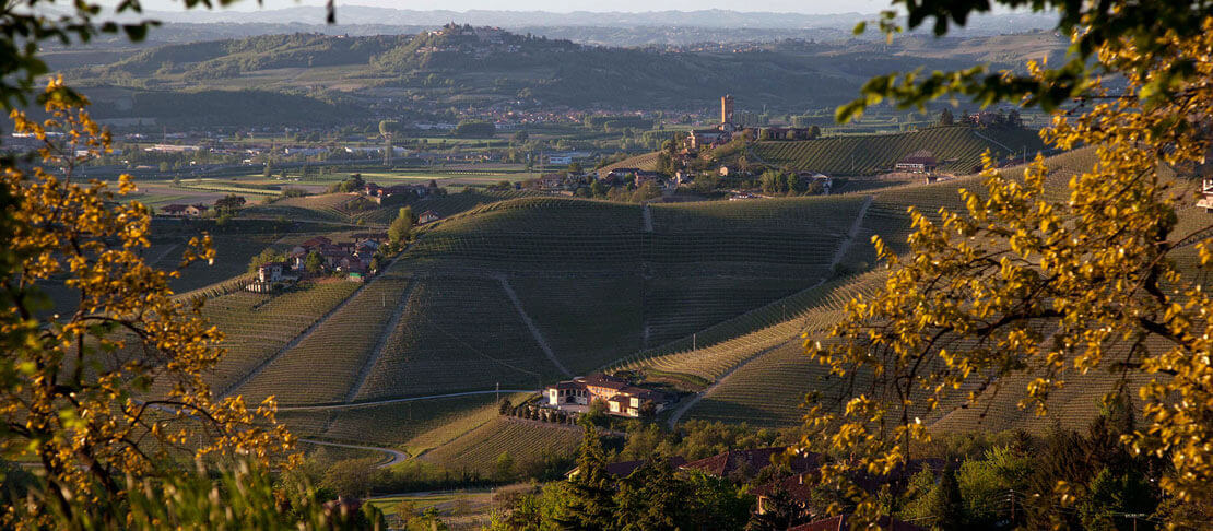 Banner Marchesi di Gresy