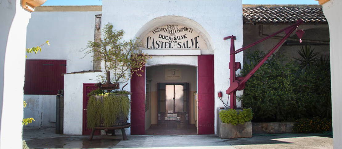 Banner Castel di Salve
