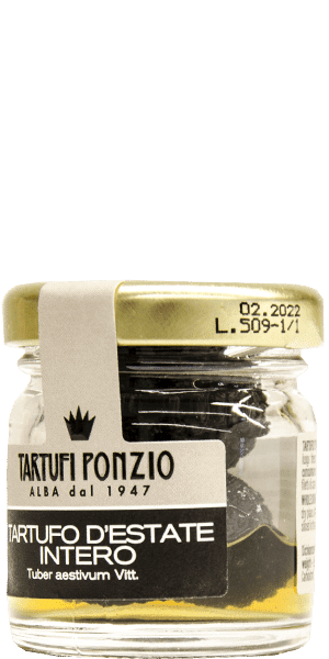 Ganzer Sommertrüffel Tartufi Ponzio Alba