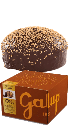 Panettone DOLCE VITA Farcito con Gianduja Galup