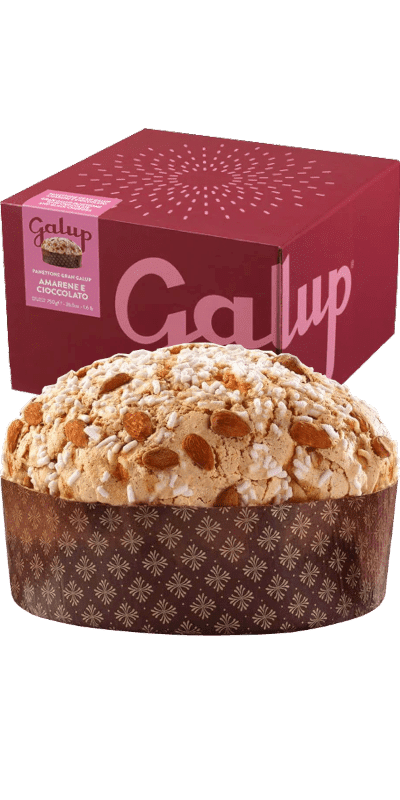 Galup Panettone Gran Galup Amarene e Cioccolato 750g