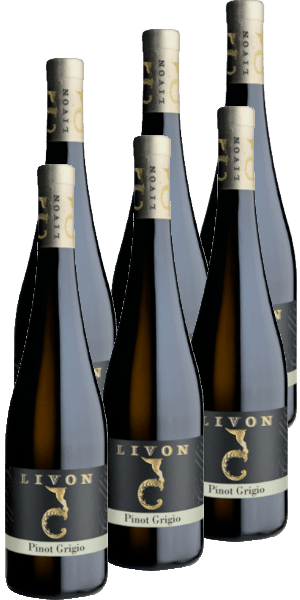 6er Karton Pinot Grigio DOC Collio Bianco Livon