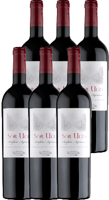 Sor Ugo Bolgheri Rosso Superiore DOC Aia Vecchia Box da 6 bottiglie