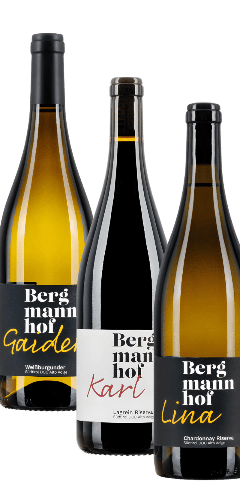 Kennenlernpaket Bergmannhof Selektionsweine
